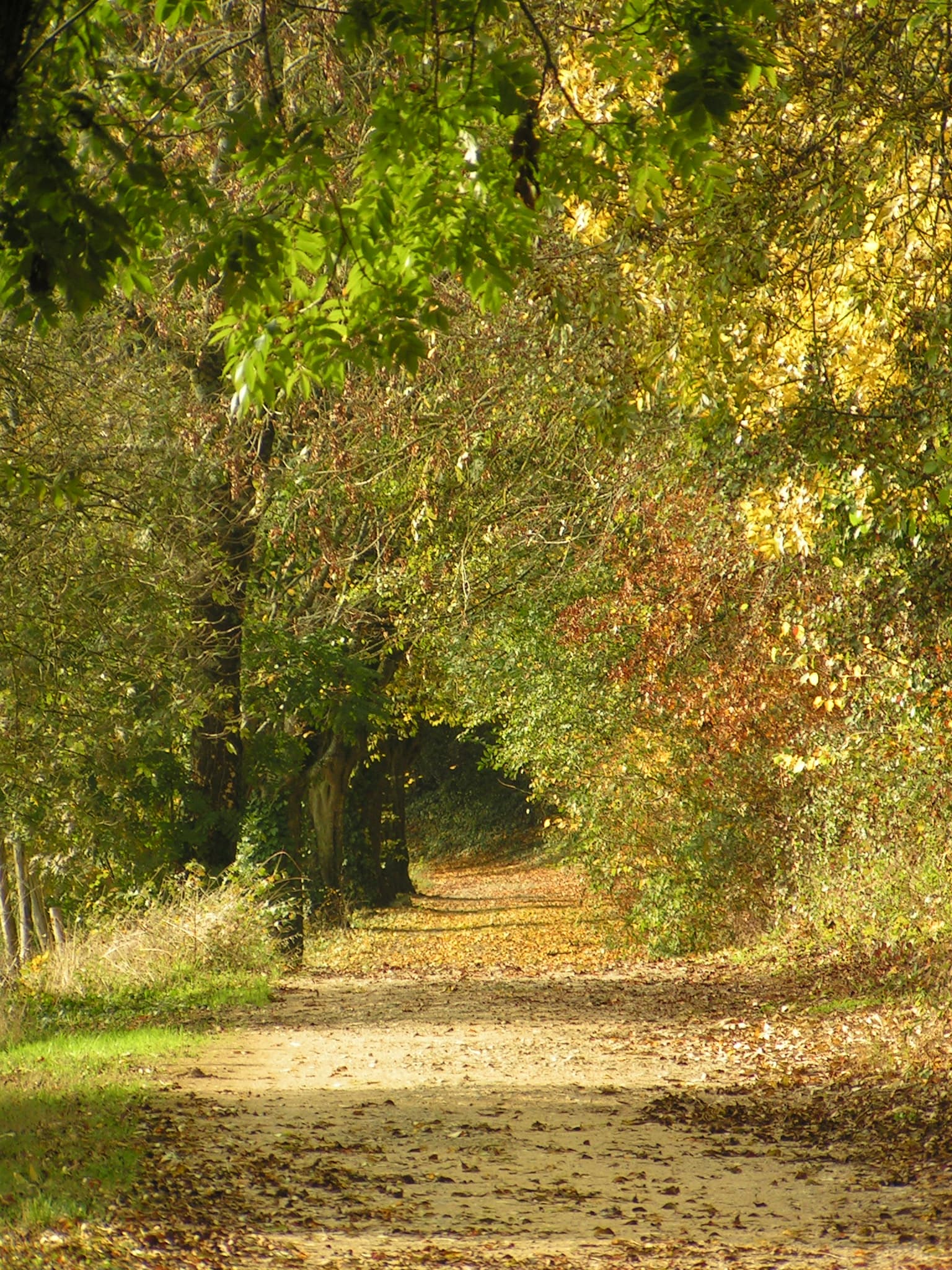 Arboretum le Chemin de la Découverte de Melle