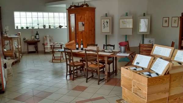 Château Vieux Robin 4