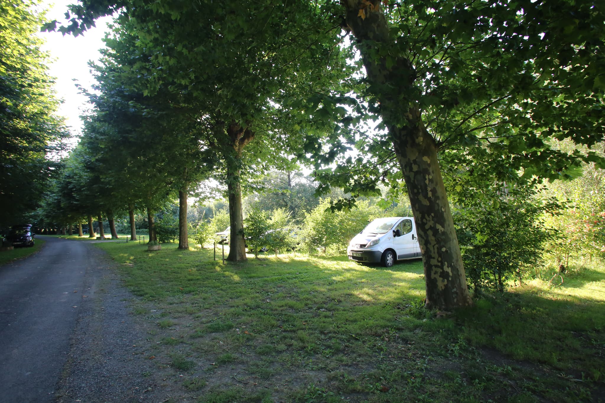 Les emplacements du camping