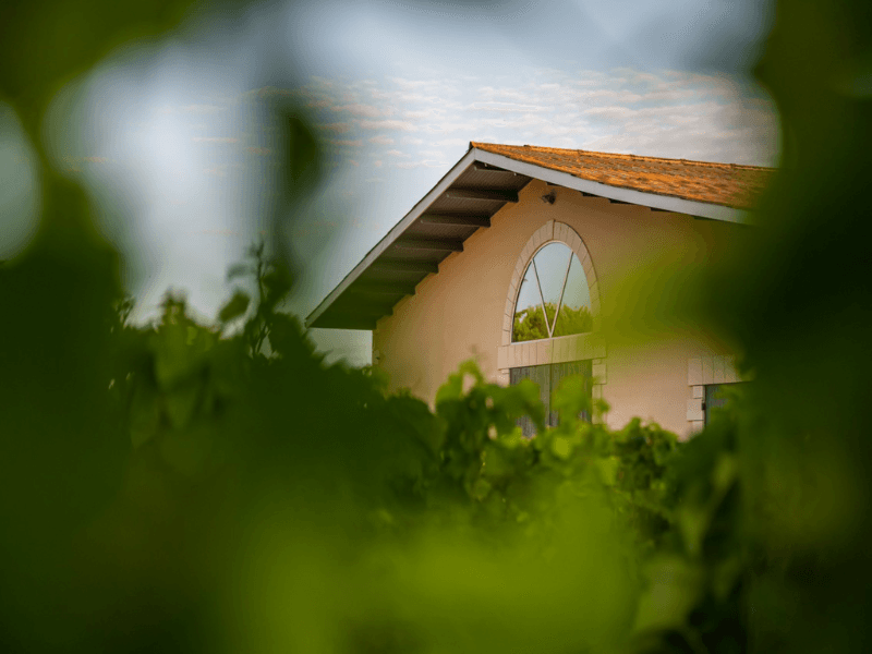 Château Ferthis