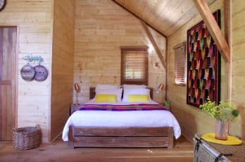 4-Coin-nid-Cabane-du-Rouge-Gorge