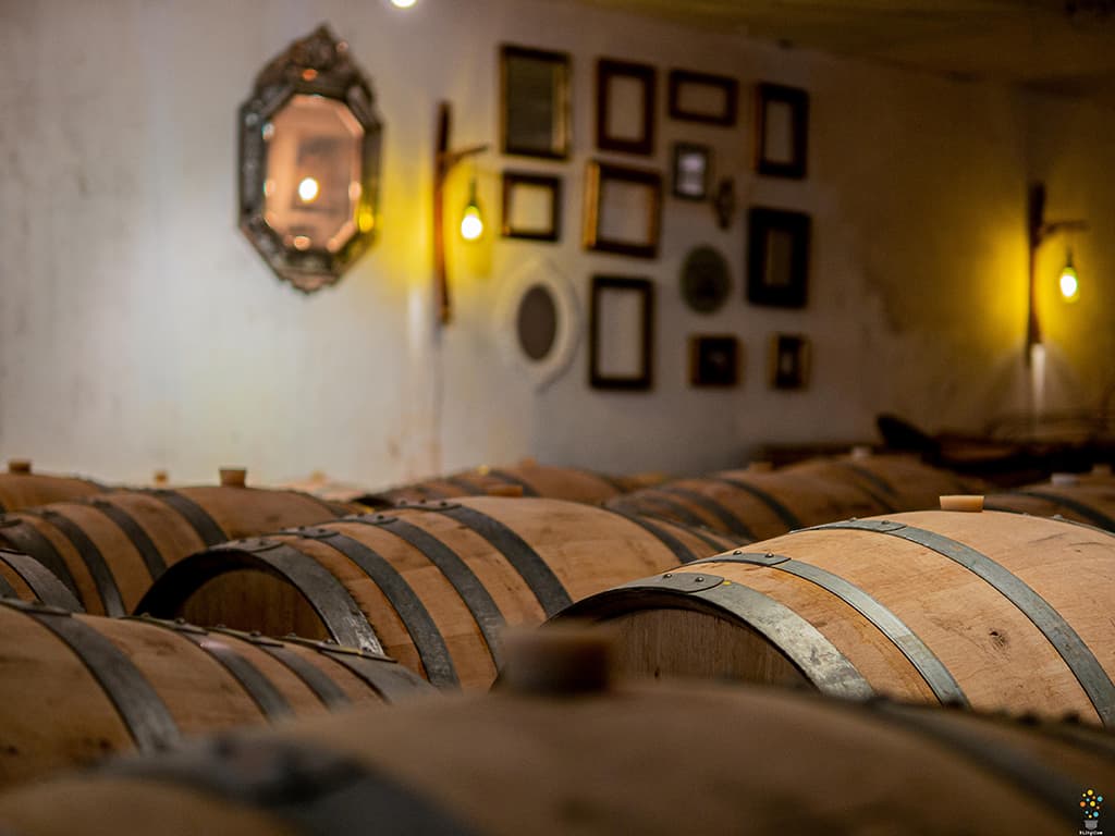 château hourtin ducasse 4
