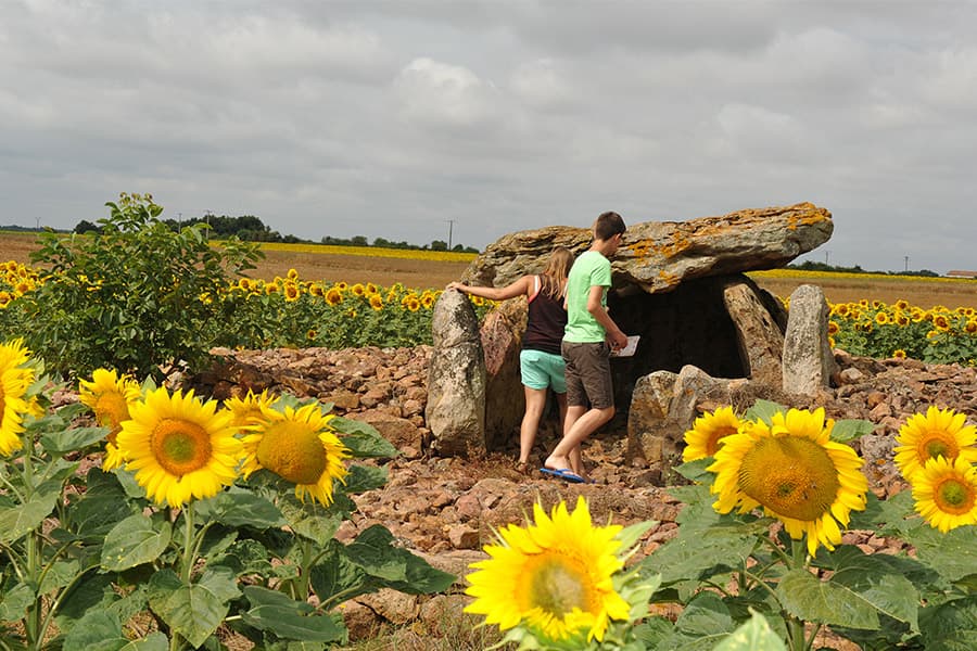Megalithe Montpalais Taize plaine vallees patrimoine culturel dolmen Thouarsais