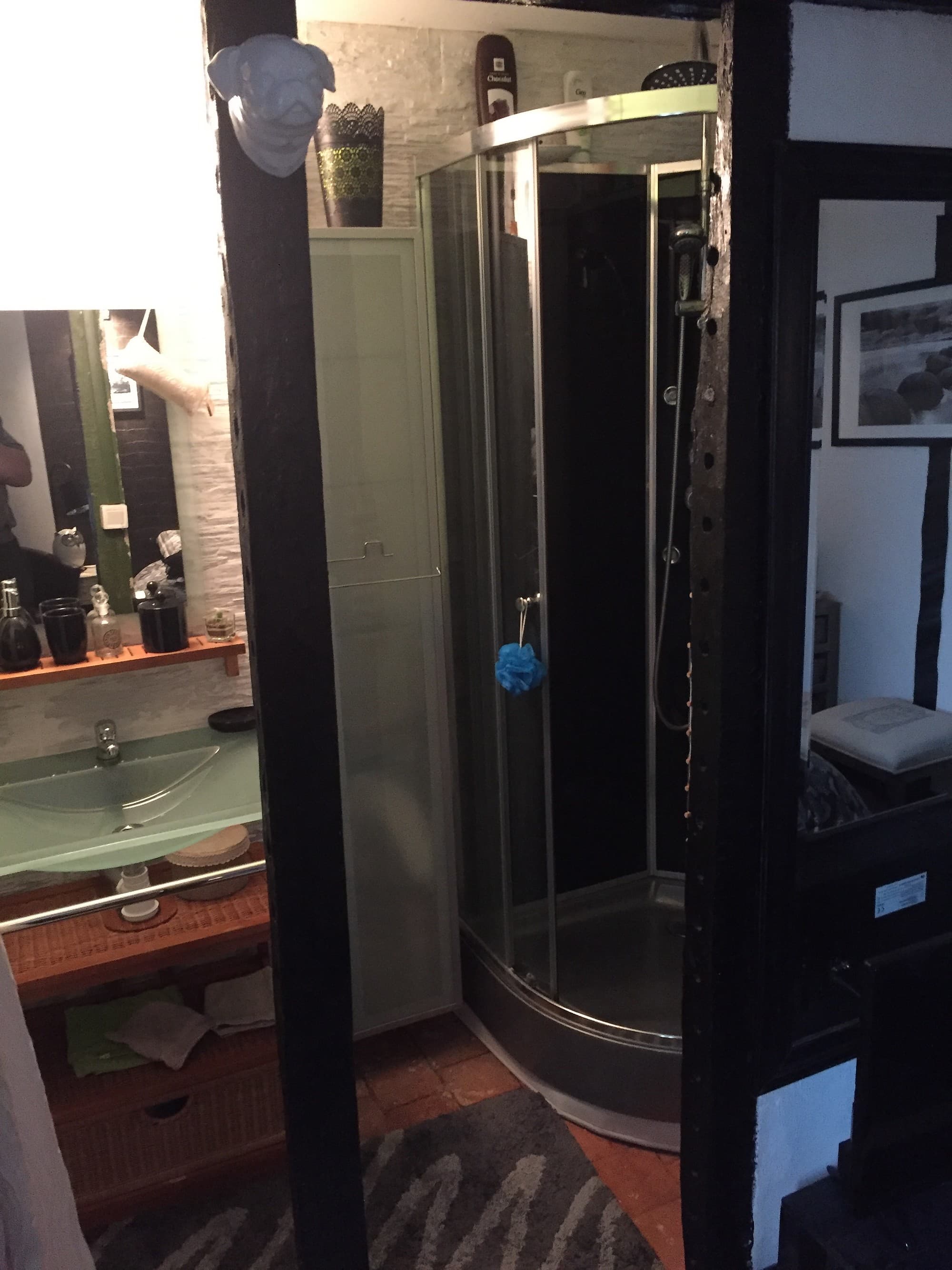 st maurice-etusson-chambre-dhotes-la-fougereuse-salle-de-bain.JPG_9