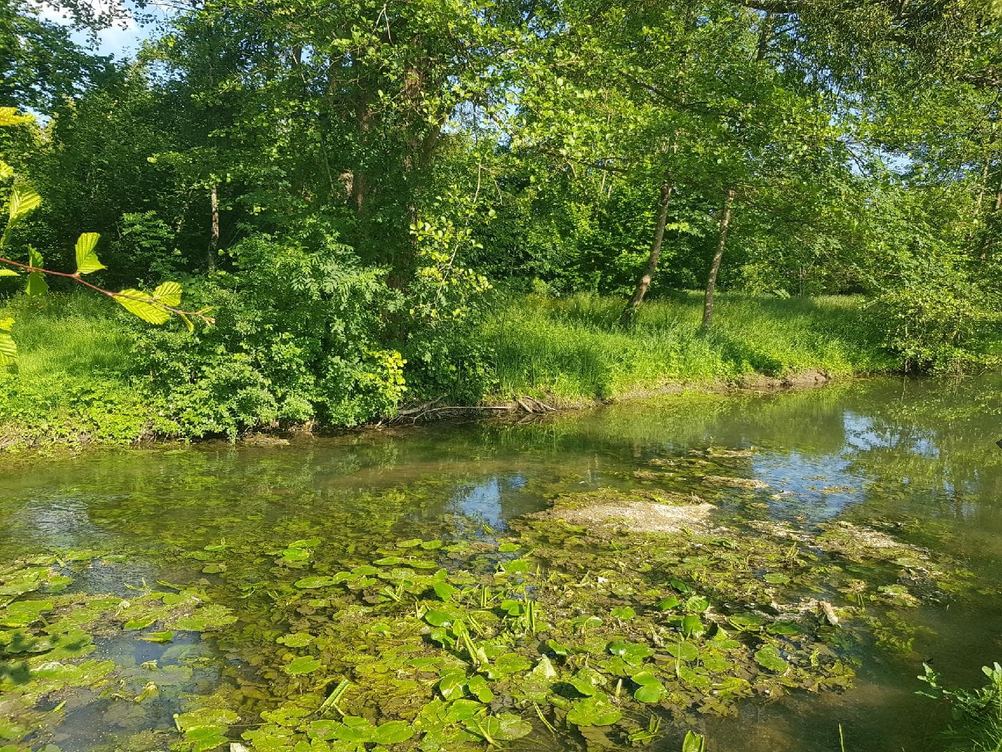 Jardins de la Clouère - Usson du Poitou