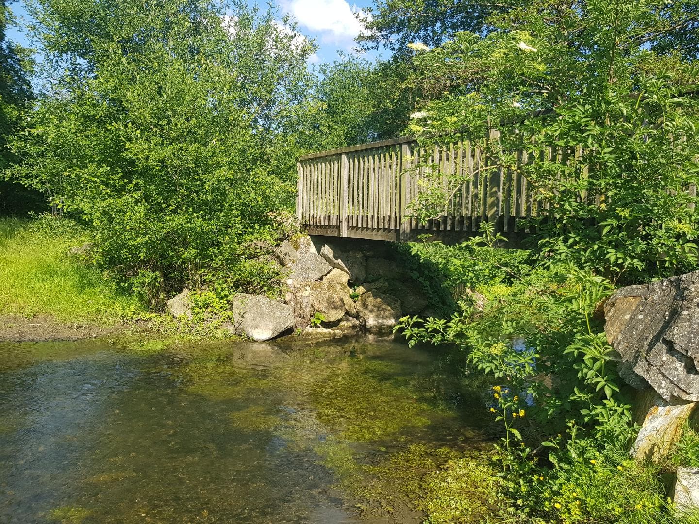 Jardins de la Clouère - Usson du Poitou ©OTVG (21).jpg_11