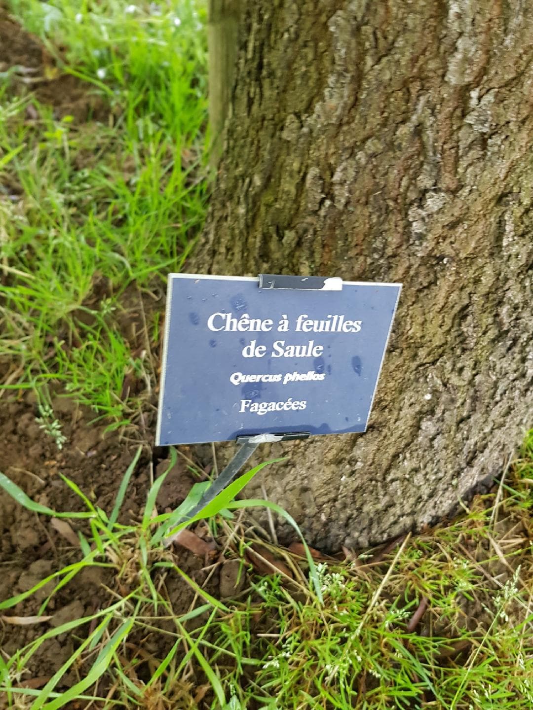 Arboretum - La Bussière