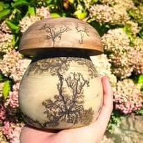 champignon electrifié