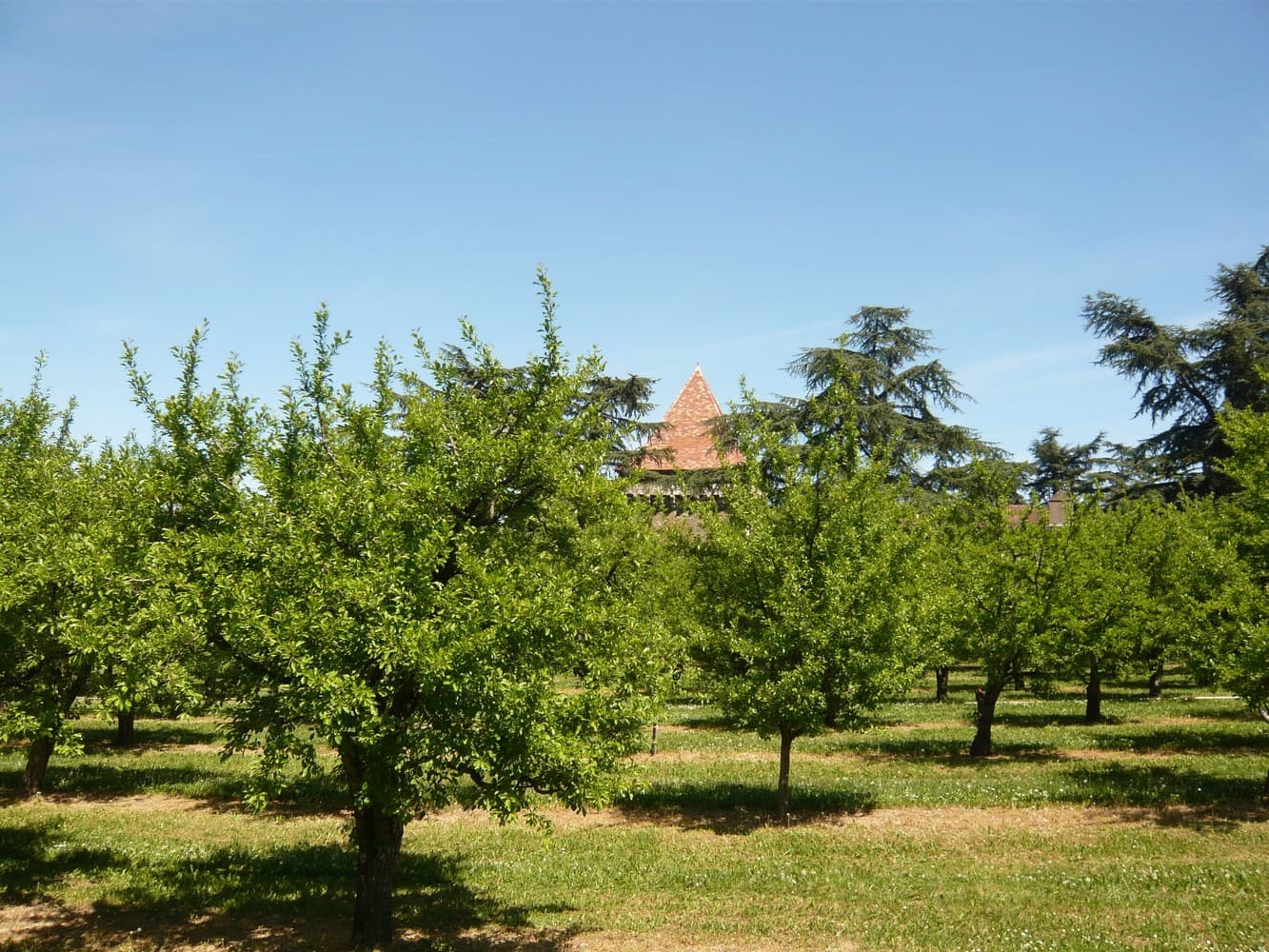 Les vergers d'escoute