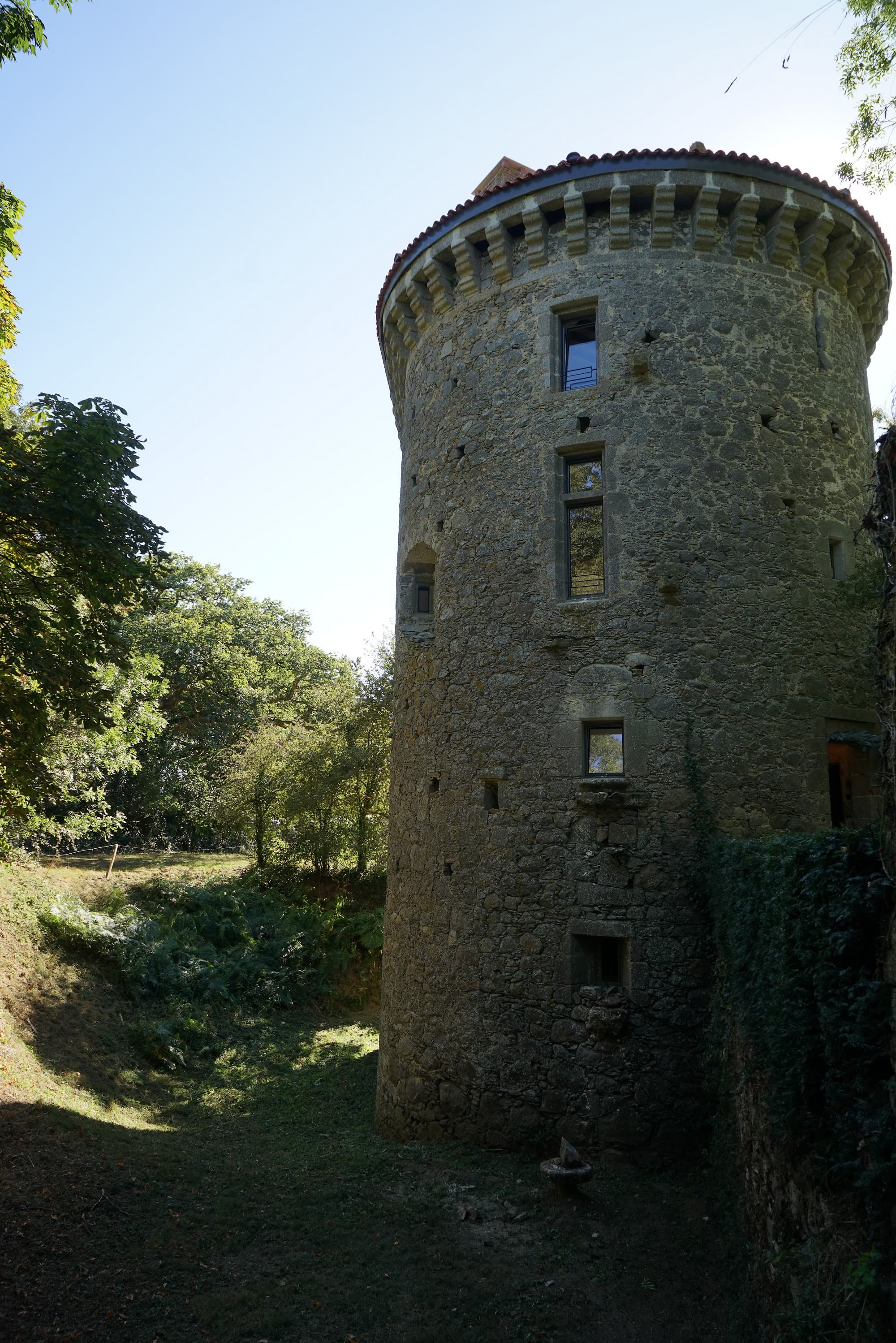 moutiers-sous-chantemerle-chambres-dhotes-bocage-de-la-belle-histoire-la-tour2.jpg_1