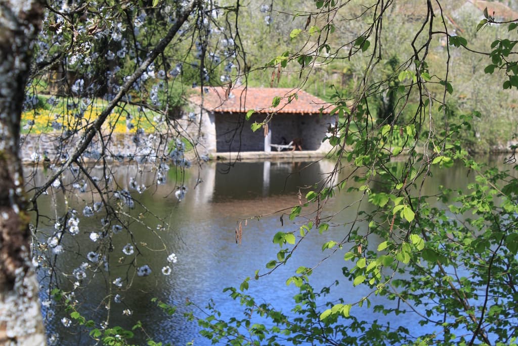 petit lavoir