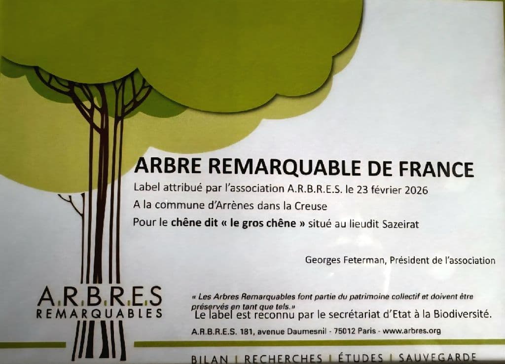 Chêne de Sazeirat