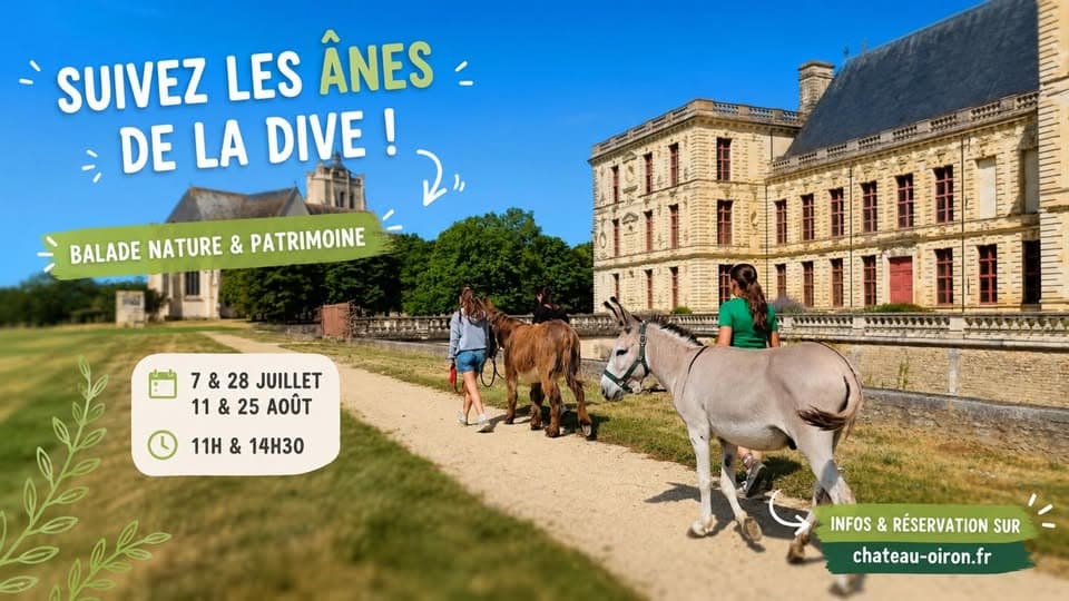 Suivez les ânes de la Dive