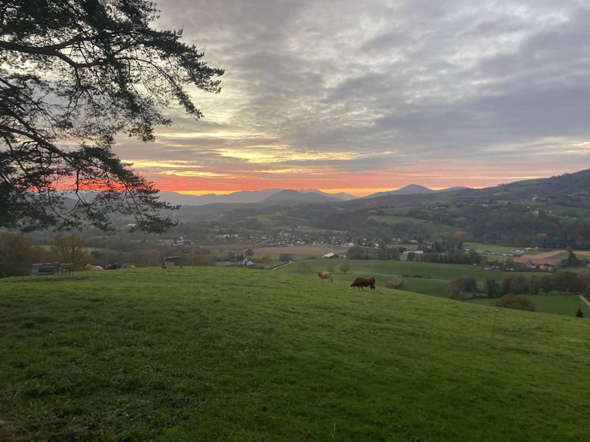 Vue depuis le gîte