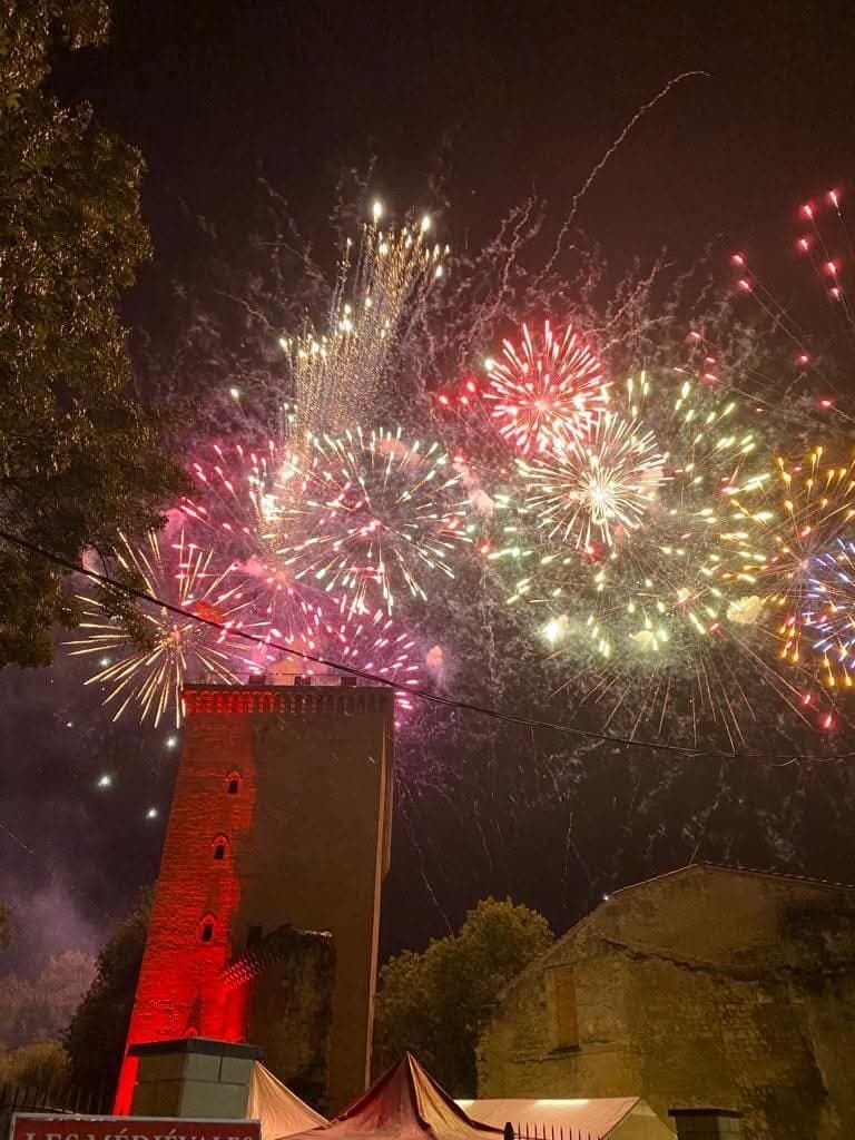 8-10-08-25-fete-du-vin-lesparre04