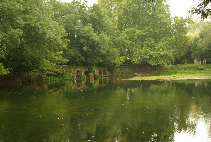 800X600_Nature-rivière-Les Peintures (Sablons)-CCordonatto
