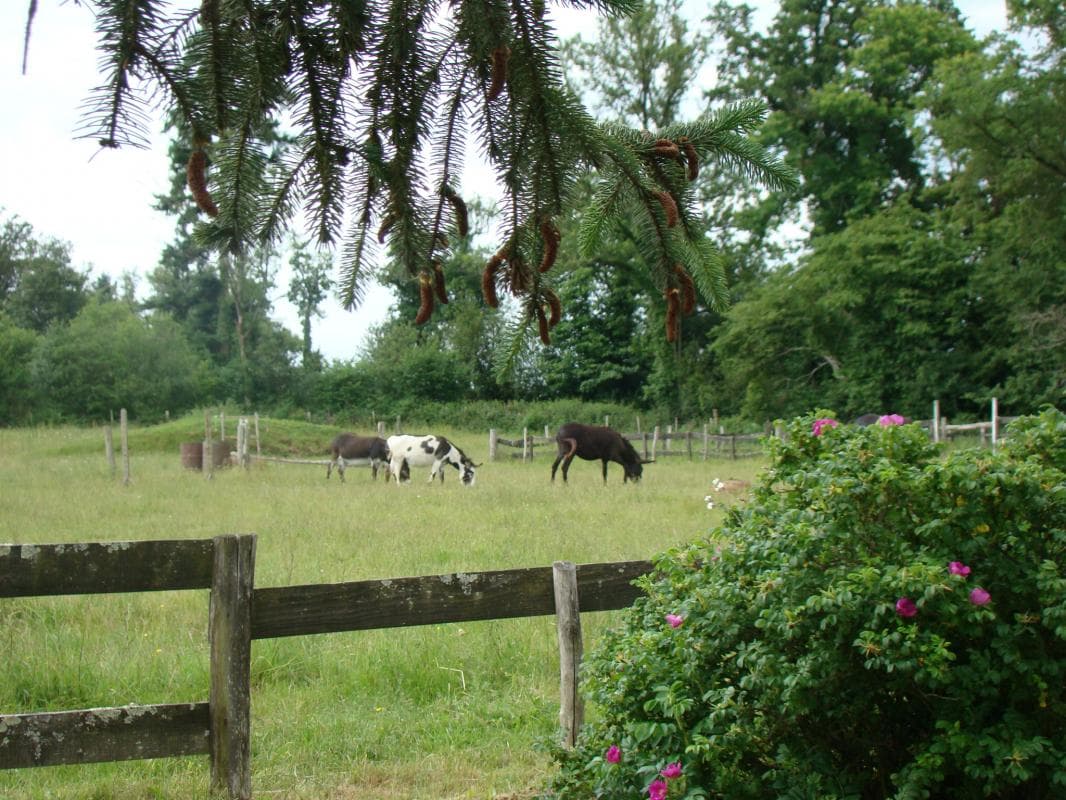 Gite "Peyrahout" à Javerdat en Haute-Vienne (Limousin en Nouvelle Aquitaine)_45