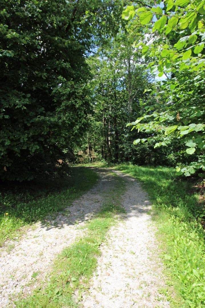 Gite La Ressourcerie à Puypérier - Saint Pardoux Le Lac en Haute-Vienne - le sentier de randonnée proche du gîte_3
