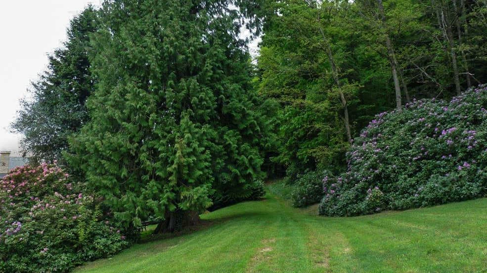 Gite "Brenac Jeune" à Eymoutiers en Haute-Vienne (Limousin) - le parc_47