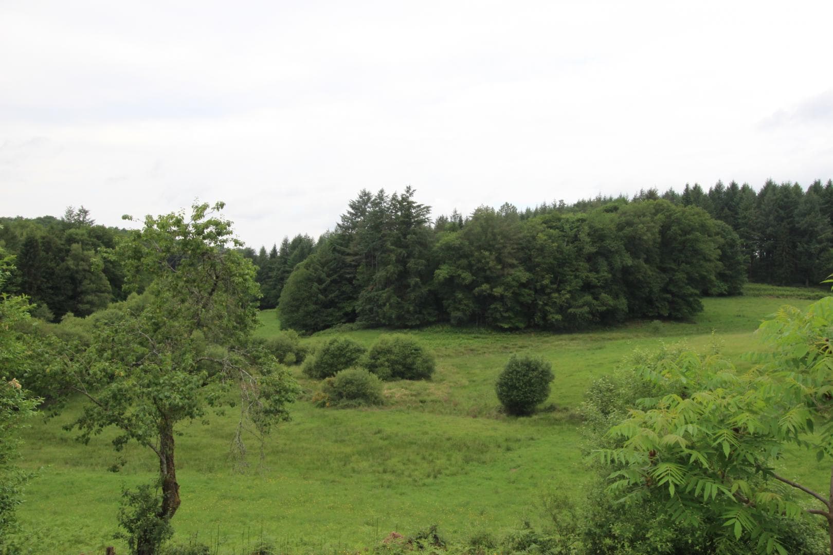 Gîte de Chalendeix en Haute-Vienne, vue de la terrasse_38
