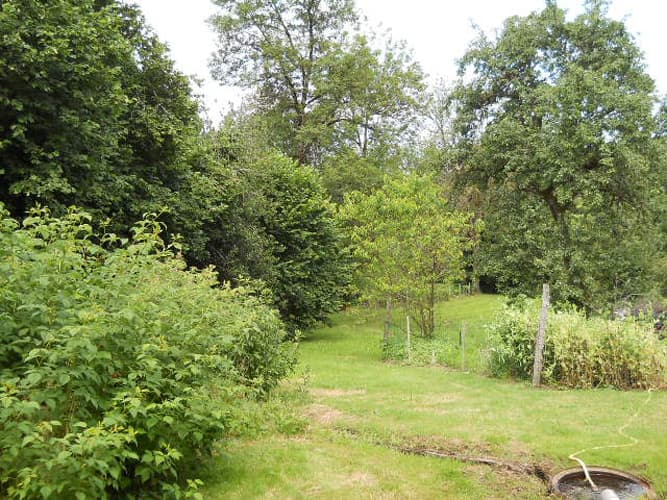 Gite " La Fontaine" à Peyrat le Château en Haute-Vienne (Nouvelle Aquitaine)_21