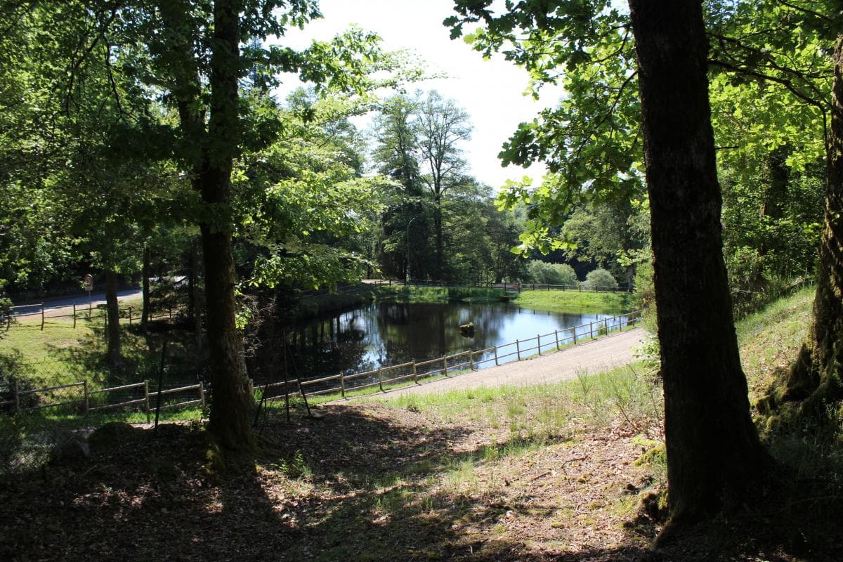 Beaumont Du Lac en Haute-Vienne (Limousin en Nouvelle Aquitaine)_3