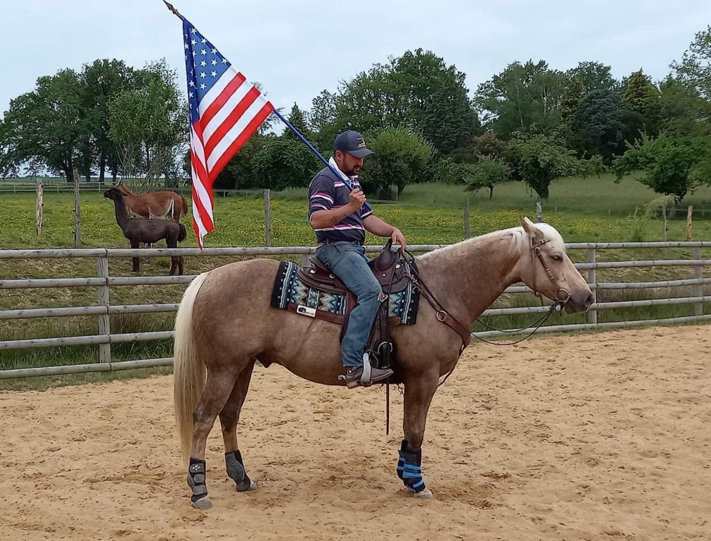 FABIEN ET UN DE NOS CHEVAUX ECOLE " HAPPY "_48