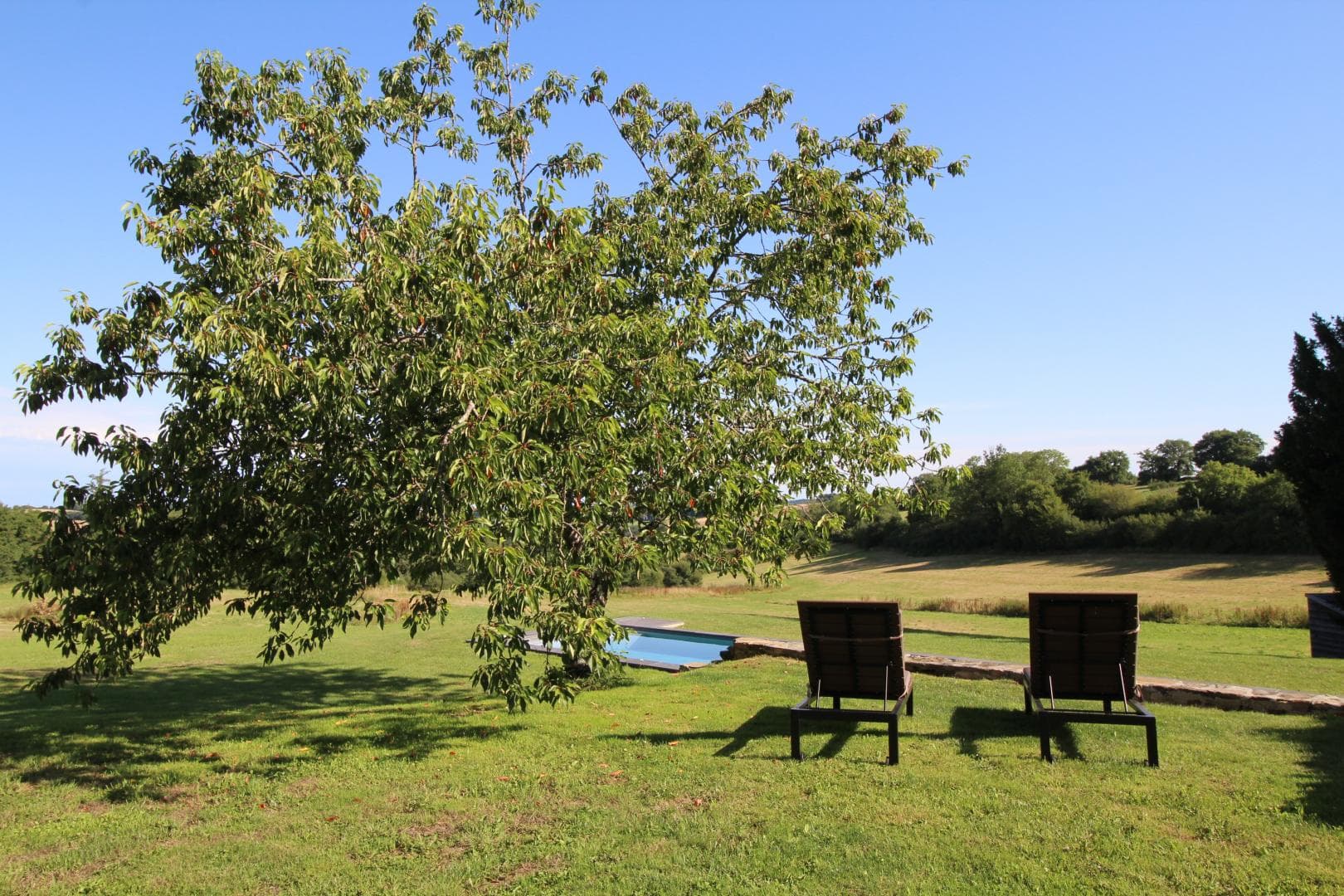 Repos sous le cerisier._18