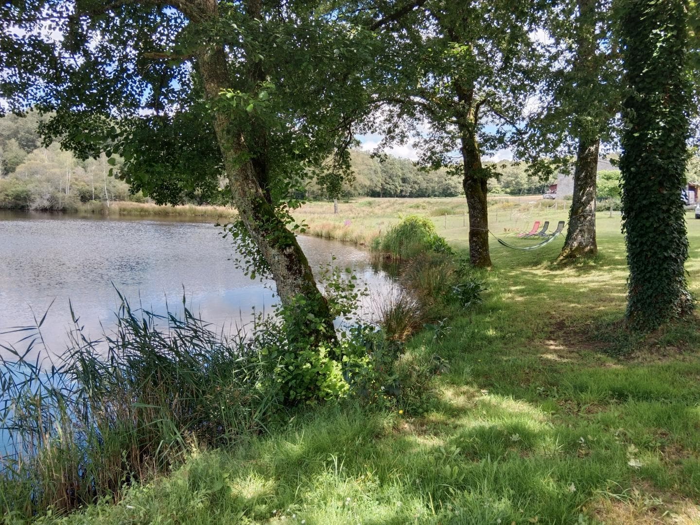 Gite de la Petite Lisonne - commune de Marval en Haute-vienne - Limousin - _27