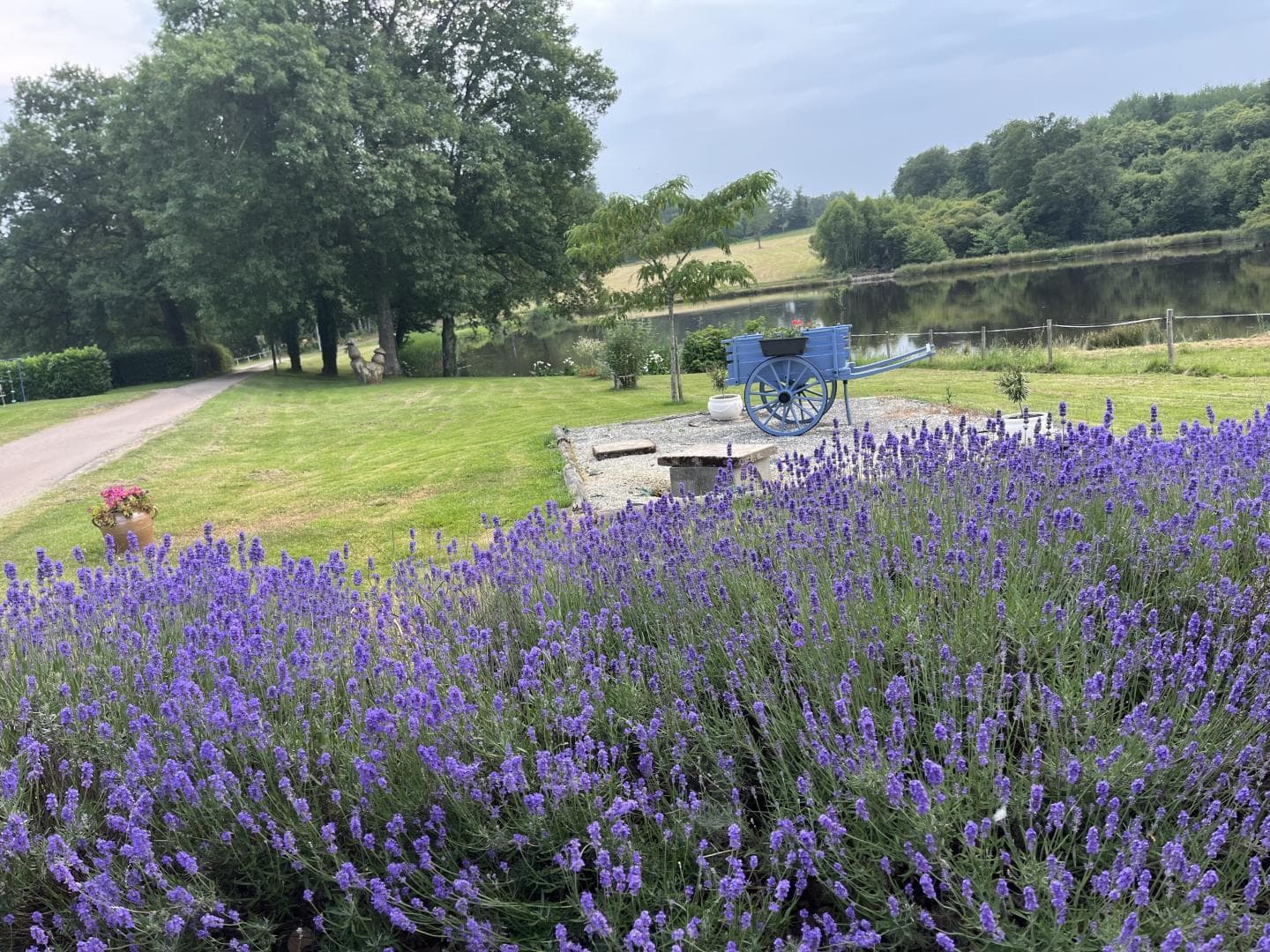 Gite de la Petite Lisonne - commune de Marval en Haute-vienne - Limousin _33