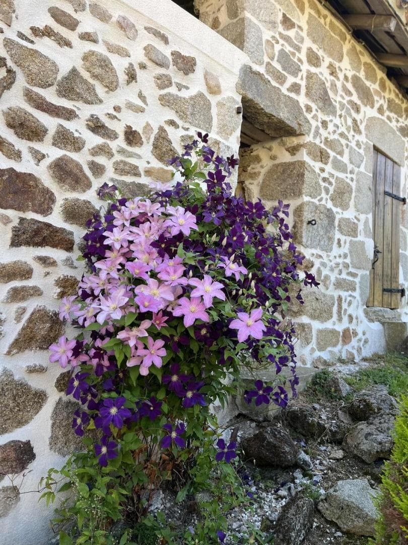 Gite de la Petite Lisonne - commune de Marval en Haute-vienne - Limousin _38