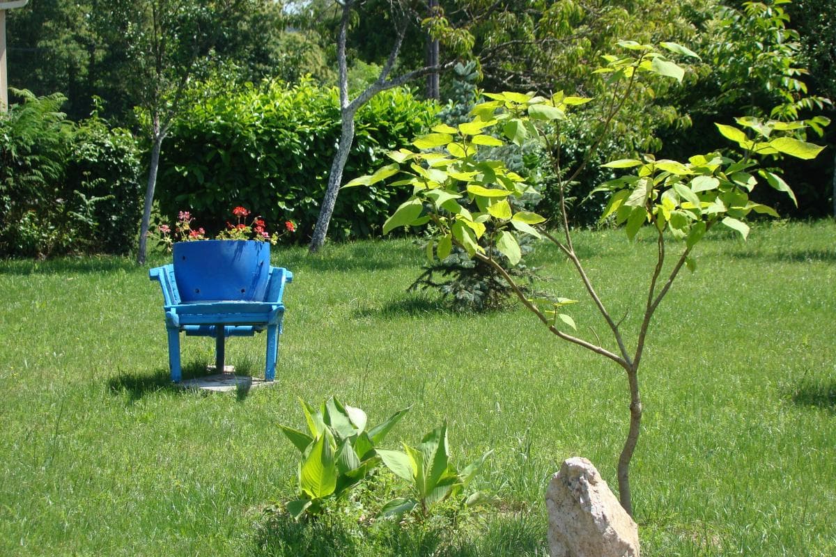 Gite "La Chaubaudie" à Rochechouart en Haute-Vienne (Nouvelle-Aquitaine)_20