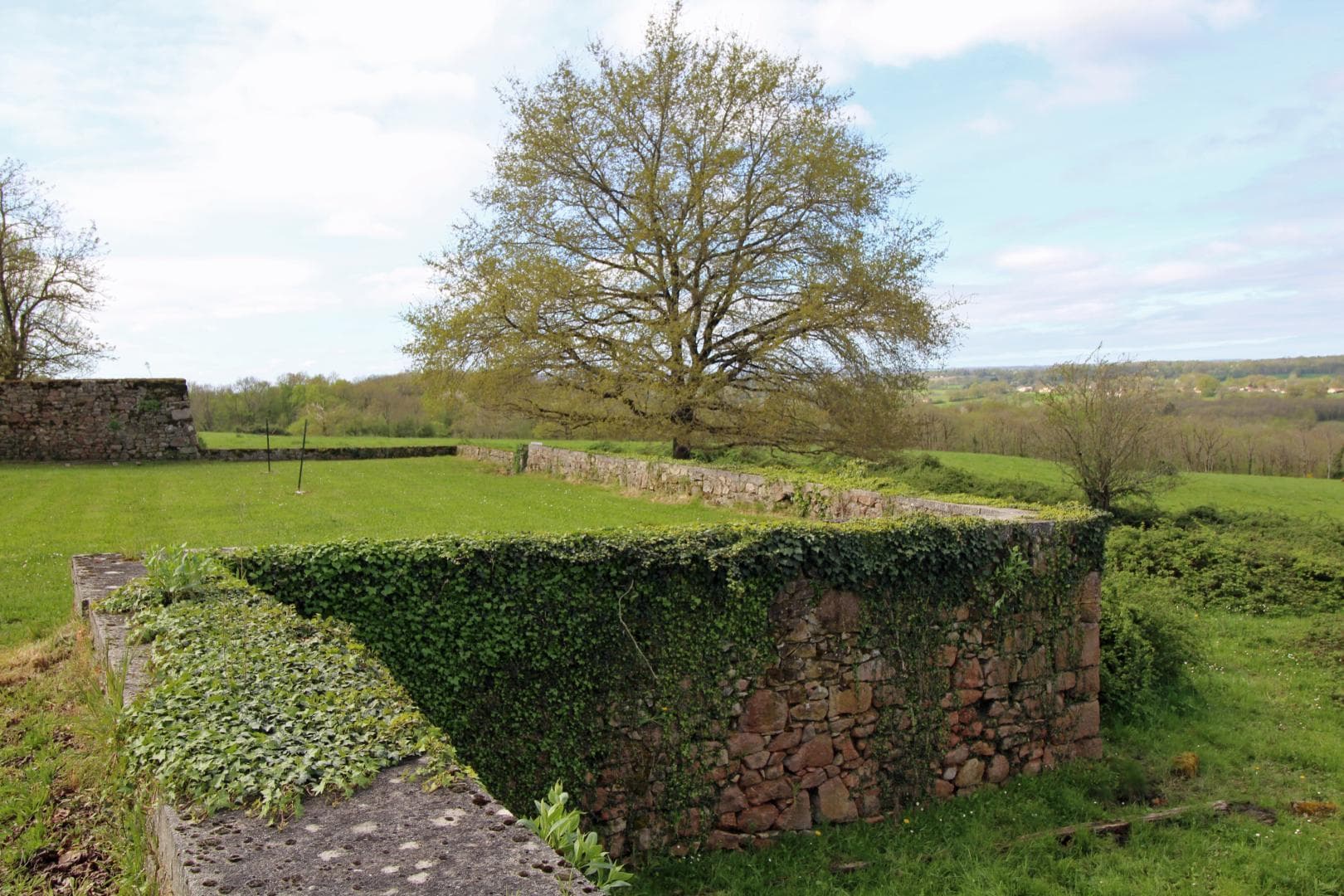 Gite des Hauts de Bosmie, commune de Bosmie L'Aiguille en Limousin - le mur de clôture côté prairie_23