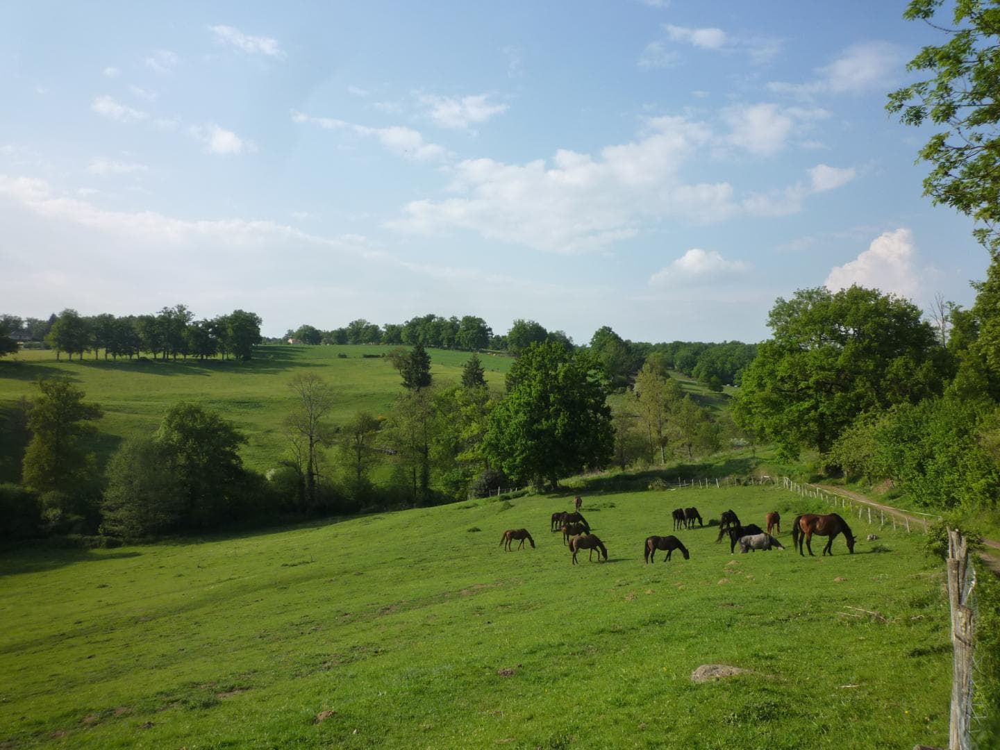 Gite "Leygat" à Solignac en Haute-Vienne (Limousin)_24