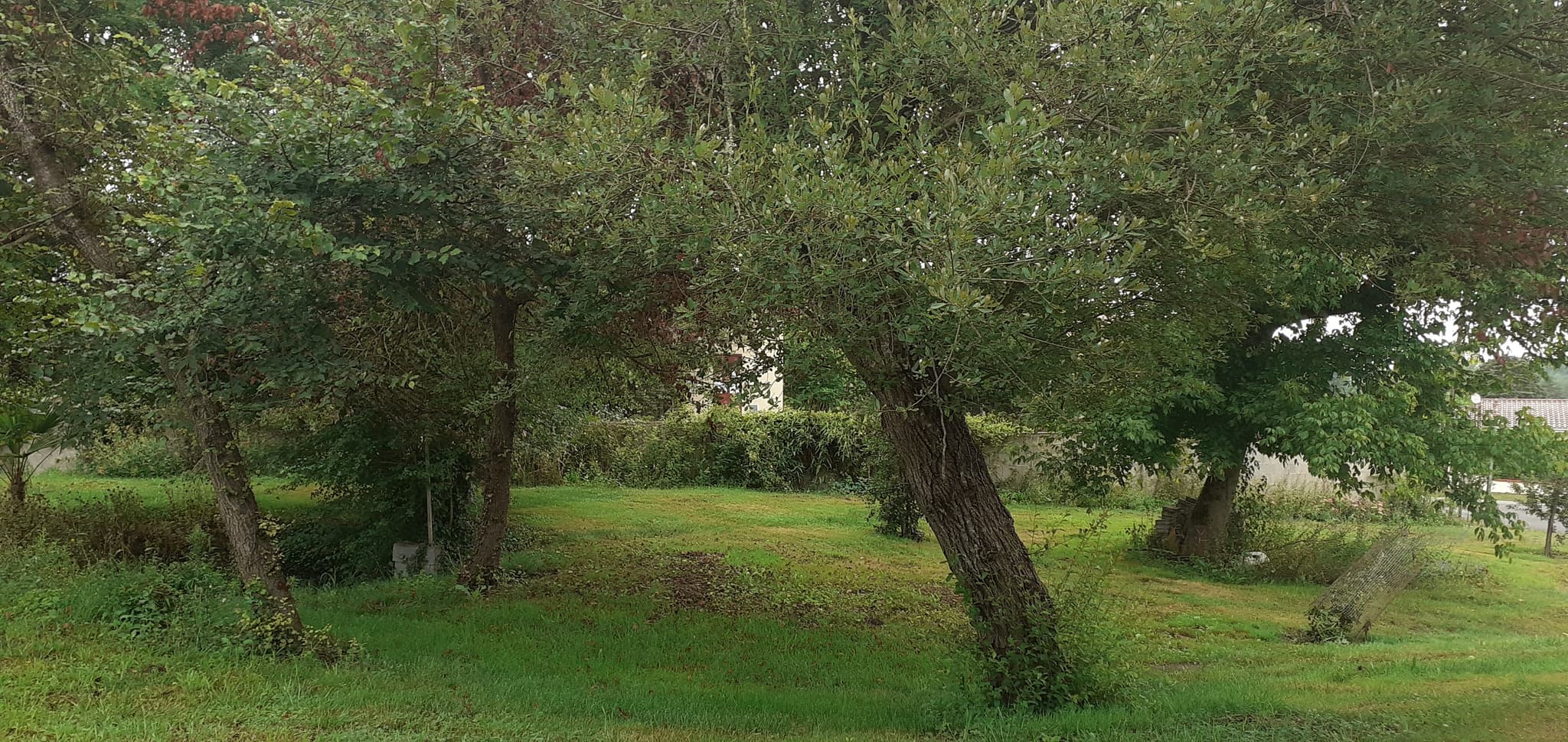 jardin