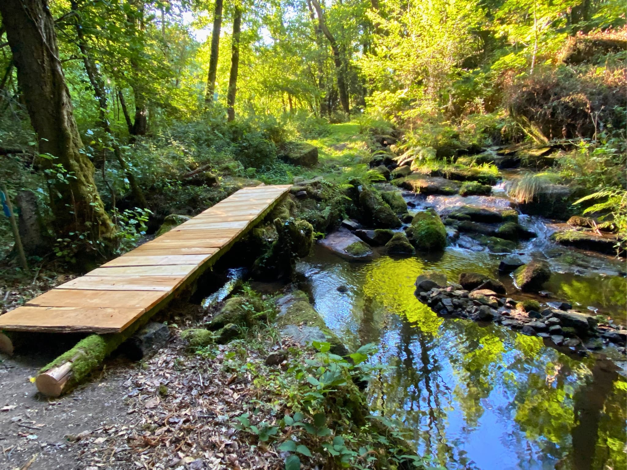 Photos Annonces Studio - Parcours de marche en forêt
