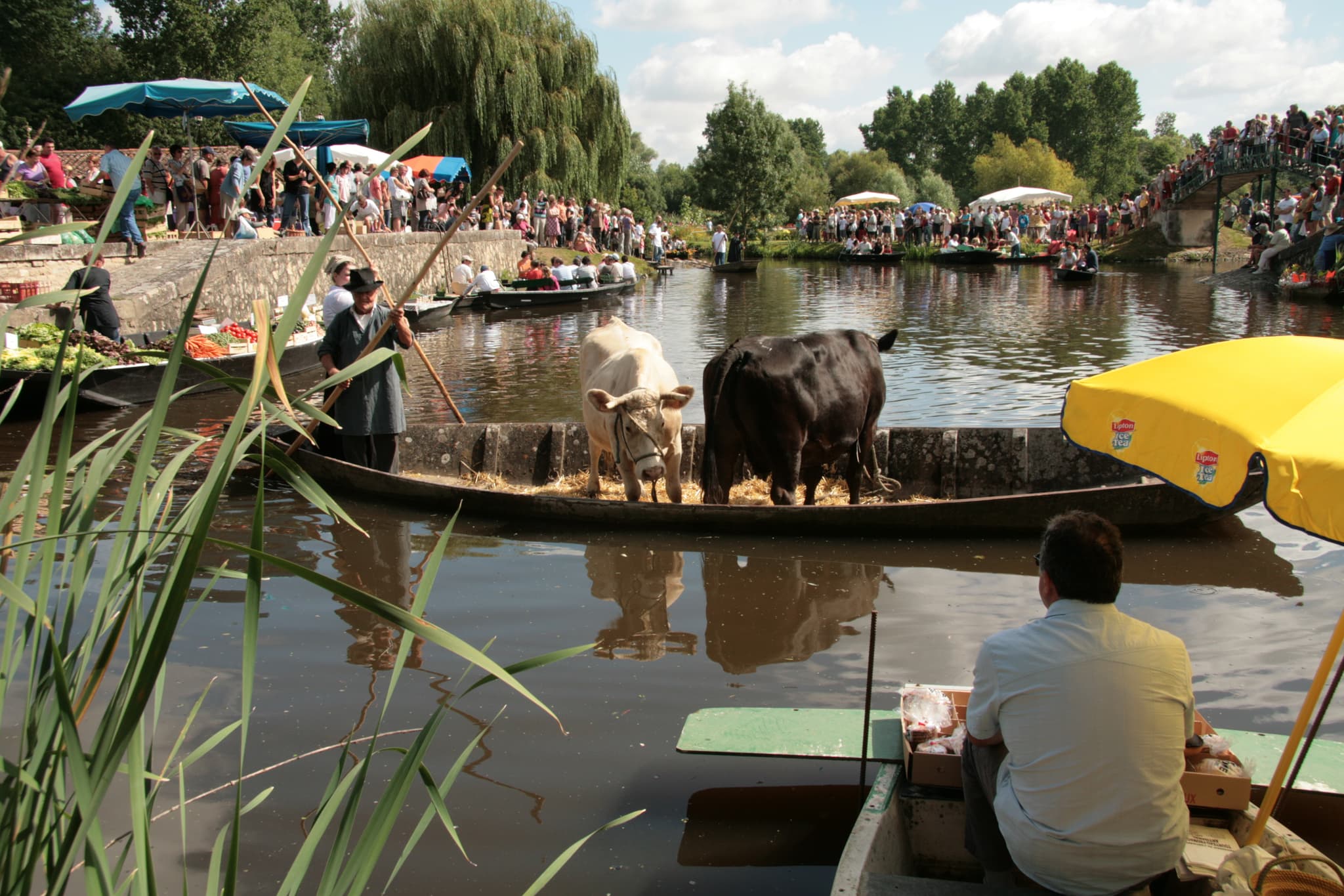 Le marché sur l'eau au Vanneau-Irleau