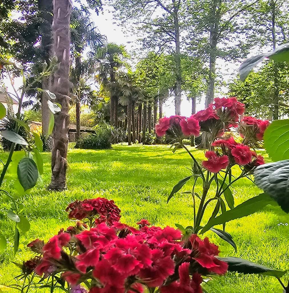 LE PARC 2025 ©Campana