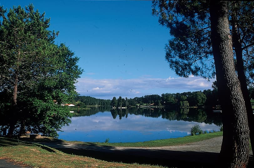 ACACIAS 4
