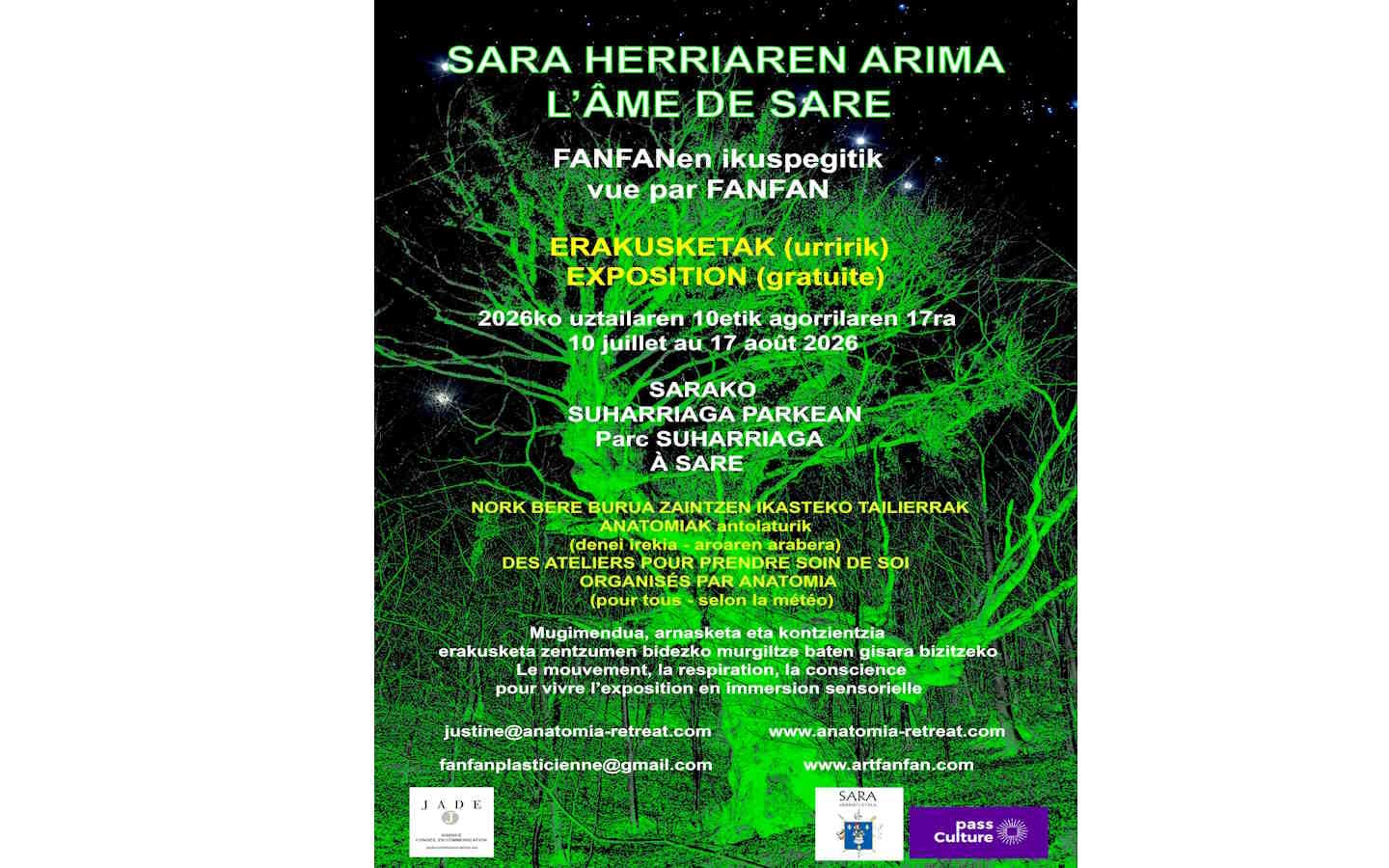AFFICHE l'âme de Sare
