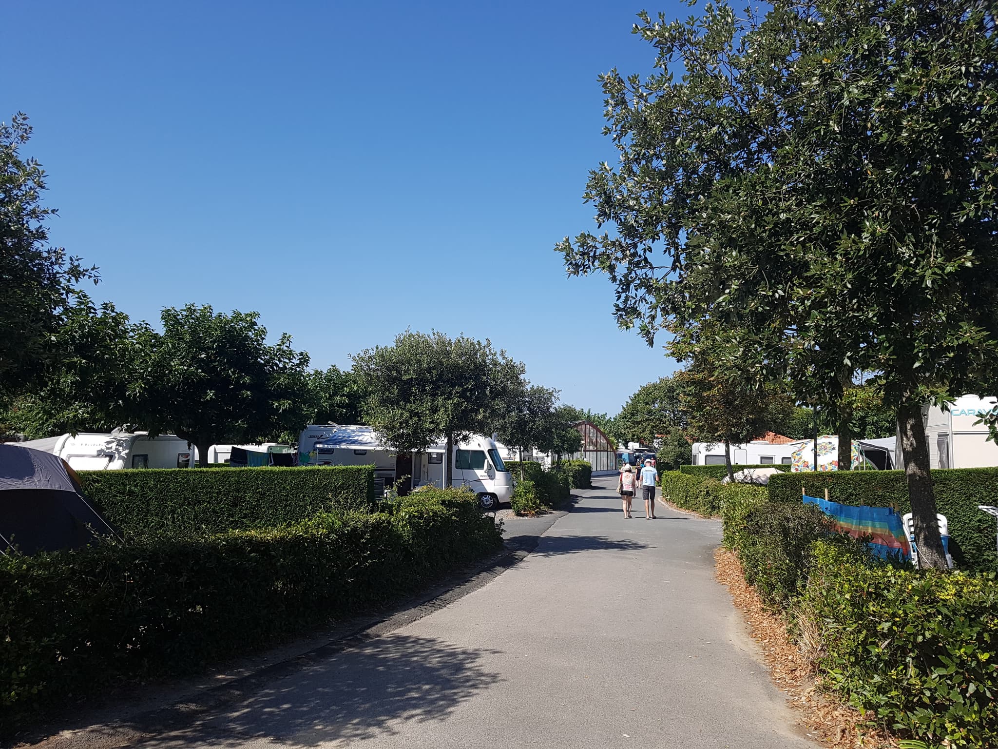 ALLEE CAMPING UR-ONEA