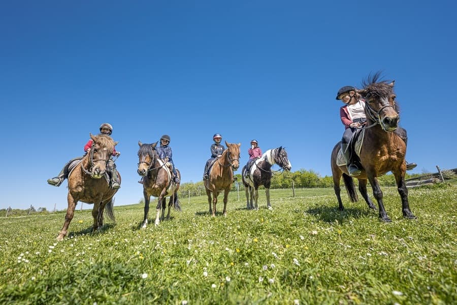 ASC Ranch de Bel air chevaux montés