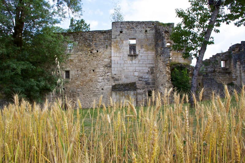 Abbaye de Boschaud_5