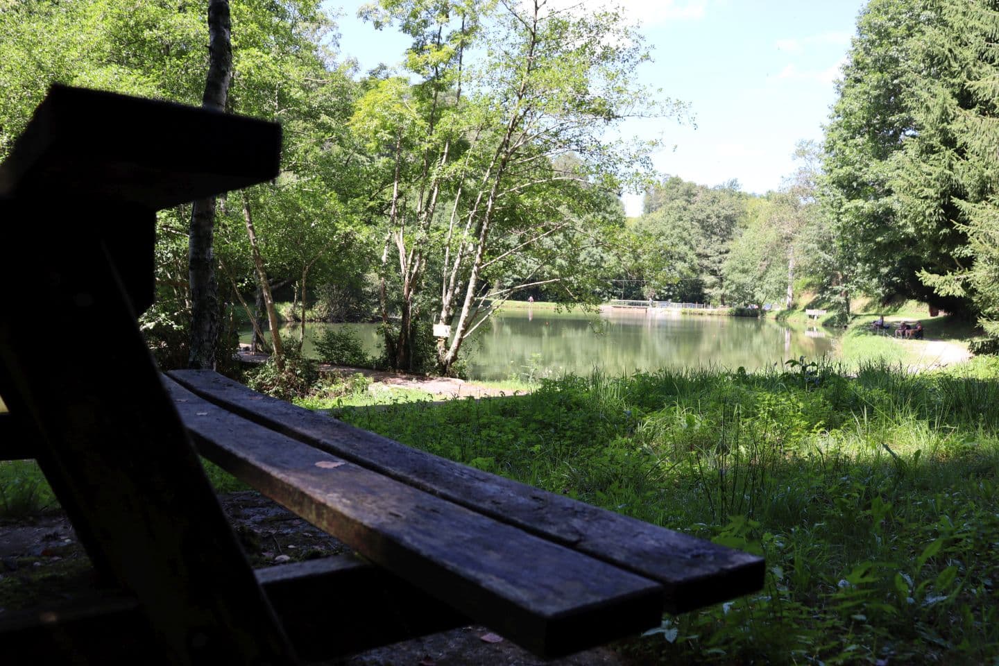 Aire de Pique Nique Arudy - Lac Ducrest