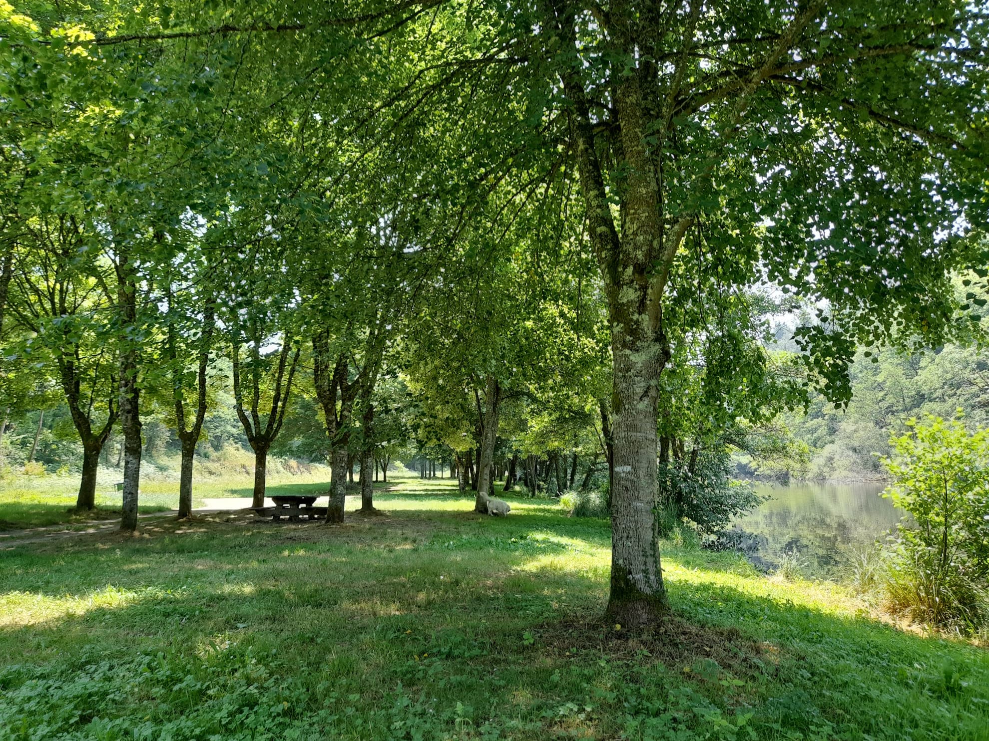 Aire de pique-nique de Beaufort ombragée et au calme le long de la rivière à Saint-Léonard de Noblat