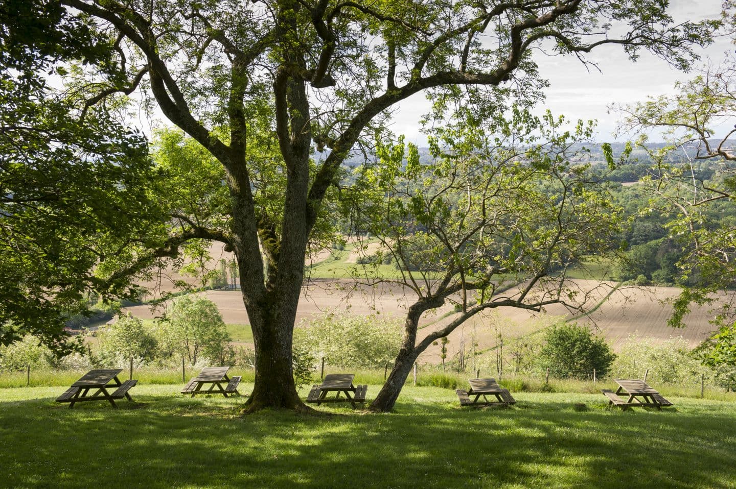 Aire pique nique Château 1 Laurent Pascal 1440x1080