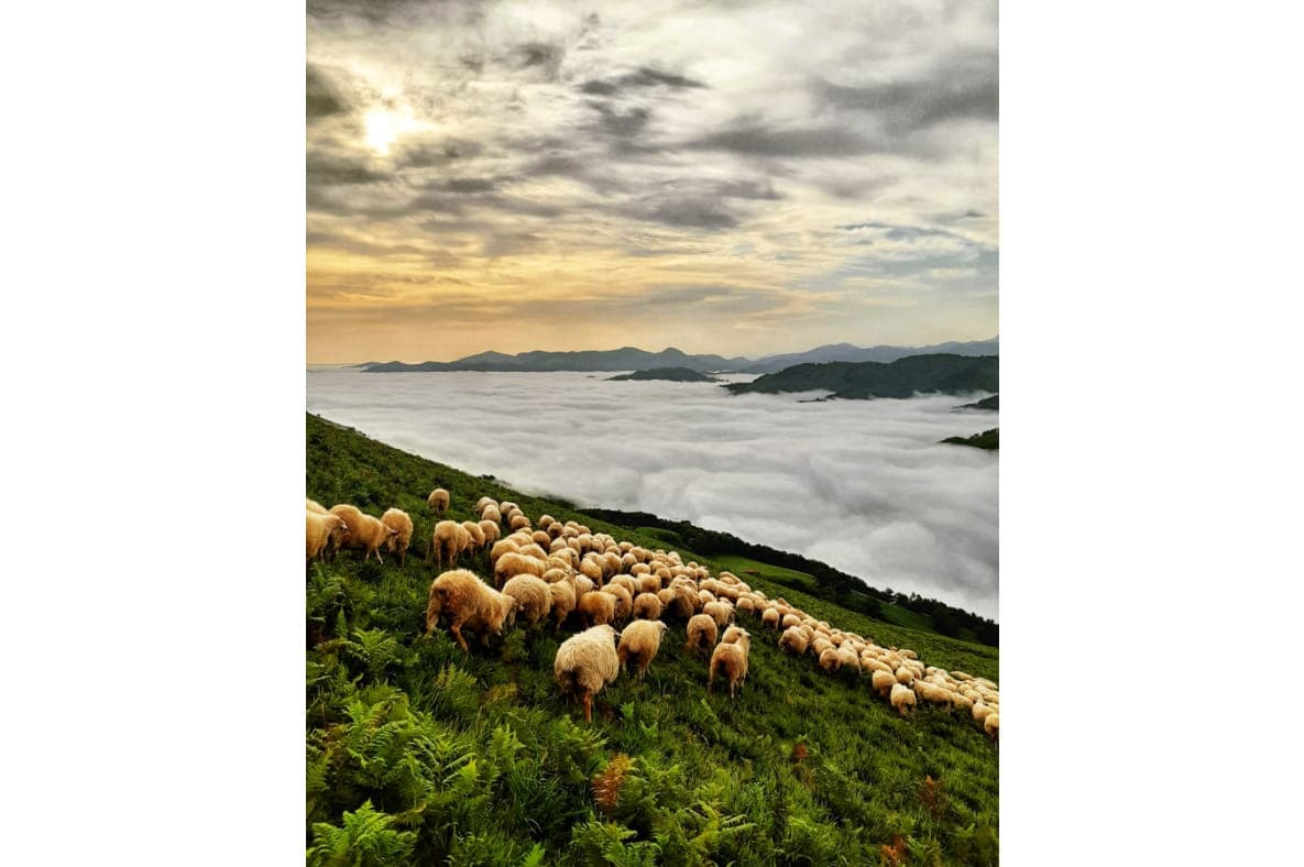 Ametzalde-juillet newsletter 2023