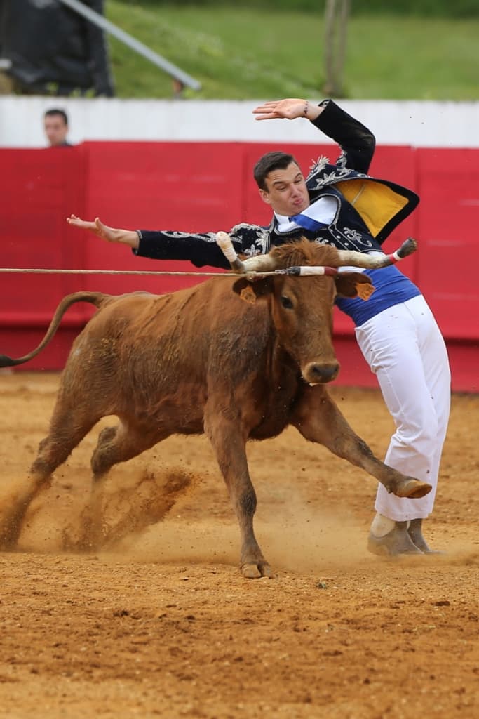Course landaise