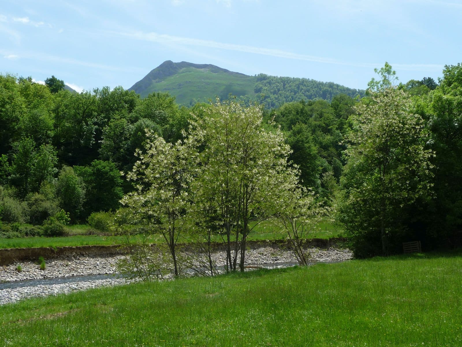Au bord du ruisseau