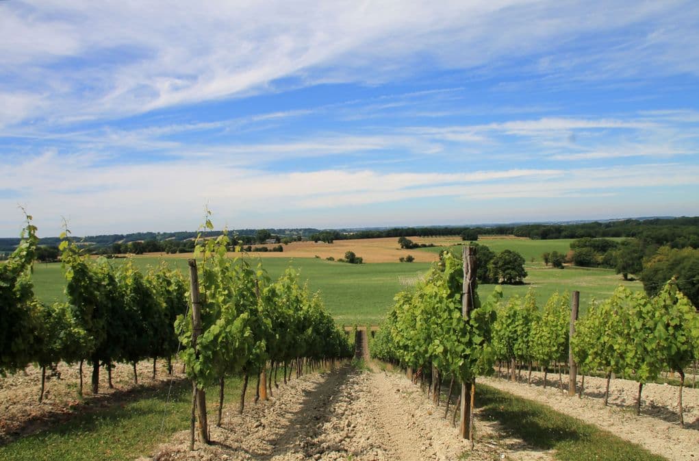 Autour d'eymet_issigeac_Clos du Pech Bessou (41)_2
